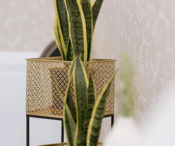 Porta D'oro Charming House 4*