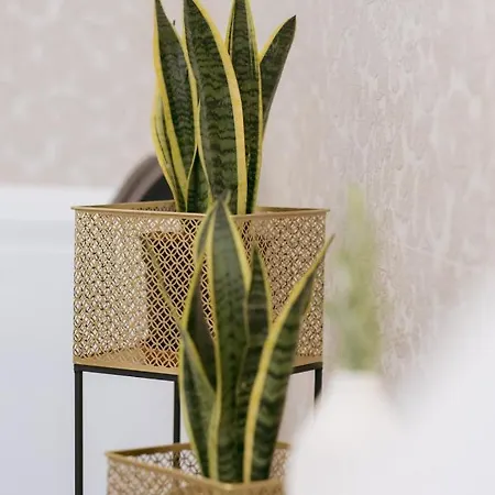 Porta D'oro Charming House 4*